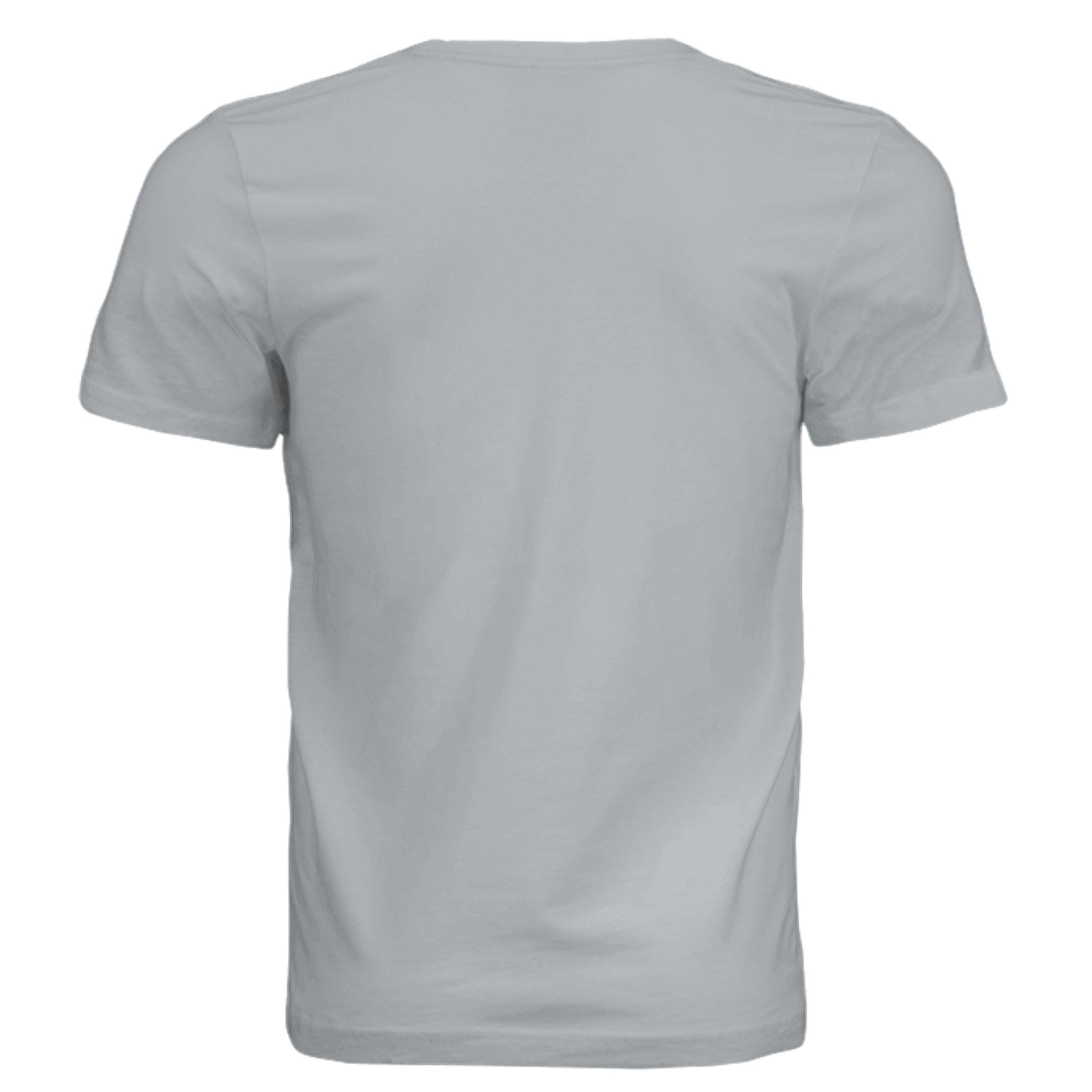 Solid Silver Triblend - 3413C - BACK