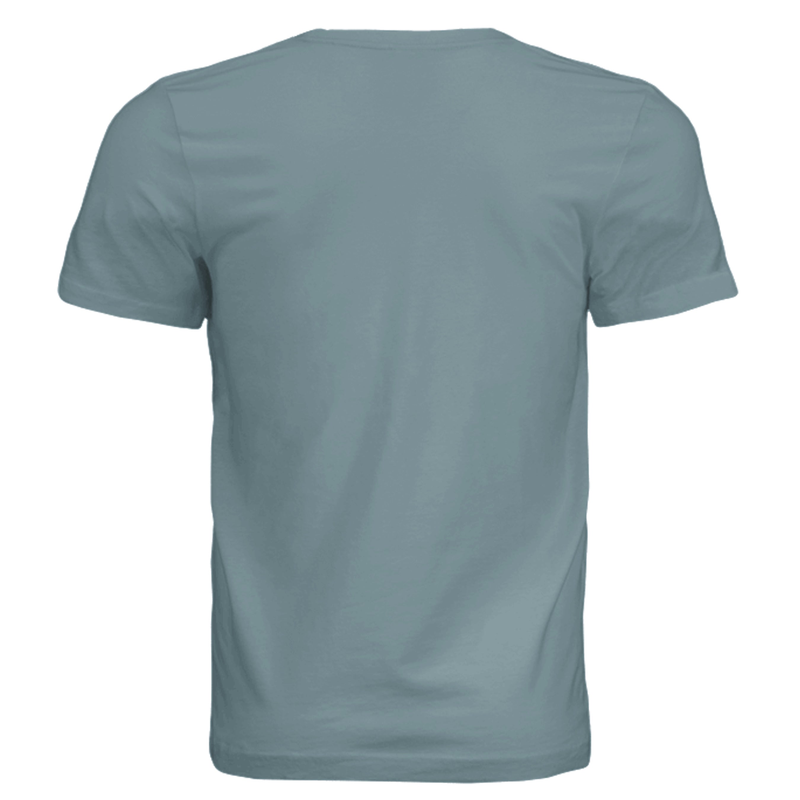 Blue Storm Triblend - 3413C - BACK